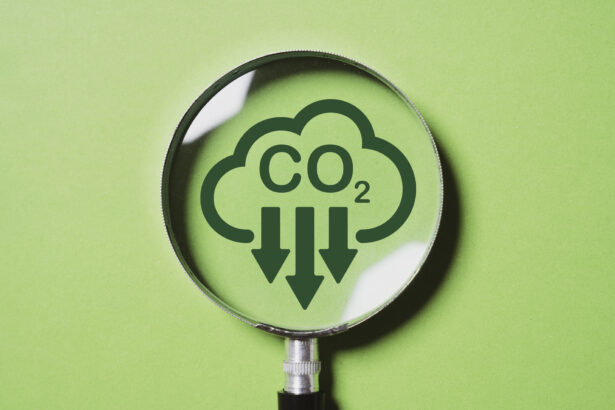 Industrie im Umbruch Zwischen Dekarbonisierung und Wettbewerbsdruck